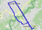 Trasa z dnia 2021-03-07 21:02 - mapa trasy gps - spacer