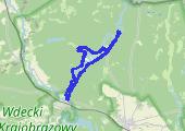 Trasa z dnia 2021-03-13 16:07 - mapa trasy gps - marsz