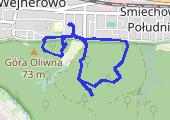 Trasa z dnia 2021-03-20 11:55 - mapa trasy gps - spacer