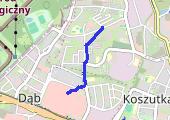 Trasa z dnia 2021-02-11 20:15 - mapa trasy gps - marsz
