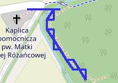 Trasa z dnia 2021-03-25 18:20 - mapa trasy gps - marsz