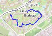 Trasa z dnia 2021-03-26 12:26 - mapa trasy gps - spacer