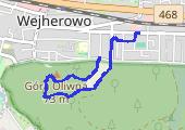 Trasa z dnia 2021-03-26 17:06 - mapa trasy gps - spacer