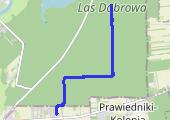 Trasa z dnia 2021-04-07 19:59 - mapa trasy gps - bieganie