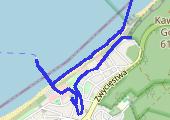 Trasa z dnia 2021-01-17 14:51 - mapa trasy gps - spacer
