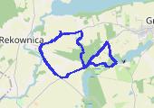 Rekowisko - spacer i konie - mapa trasy gps - spacer