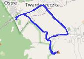 Trasa z dnia 2021-05-02 19:33 - mapa trasy gps - bieganie