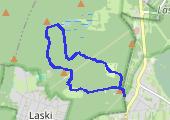 Trasa z dnia 2021-05-09 17:12 - mapa trasy gps - marsz