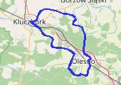 06_03_21.gpx - mapa trasy gps - rower szosowy