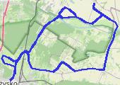 Trasa z dnia 2021-06-03 15:31 - mapa trasy gps - rower szosowy