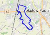 Spacer 03.06.2021 - mapa trasy gps - spacer