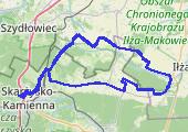 Trasa z dnia 2021-06-24 11:26 - mapa trasy gps - rower szosowy