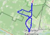 Trasa z dnia 2021-06-25 17:37 - mapa trasy gps - rower szosowy