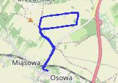 Trasa z dnia 2021-06-25 19:41 - mapa trasy gps - bieganie