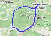 Trasa z dnia 2021-07-07 19:21 - mapa trasy gps - rower szosowy