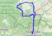 Trasa z dnia 2021-07-09 11:03 - mapa trasy gps - rower szosowy