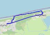Trasa z dnia 2021-07-14 20:32 - mapa trasy gps - spacer