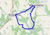 Trasa z dnia 2021-07-17 13:25 - mapa trasy gps - rower górski
