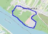 Trasa z dnia 2021-07-18 12:25 - mapa trasy gps - spacer