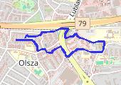 Trasa z dnia 2021-07-18 14:19 - mapa trasy gps - spacer