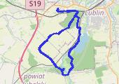 Trasa z dnia 2021-07-20 19:48 - mapa trasy gps - spacer