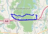 Trasa z dnia 2021-07-21 21:06 - mapa trasy gps - rower górski