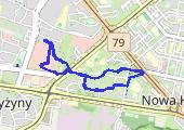 Trasa z dnia 2021-01-04 19:34 - mapa trasy gps - bieganie