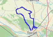 Trasa z dnia 2021-08-10 18:56 - mapa trasy gps - rower szosowy