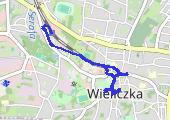 Trasa z dnia 2021-08-11 17:08 - mapa trasy gps - marsz