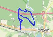Torzym - mapa trasy gps - marsz