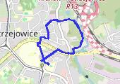 Trasa z dnia 2013-08-16 19:50 - mapa trasy gps - spacer