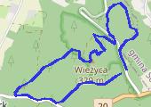 Trasa z dnia 2021-09-13 11:56 - mapa trasy gps - bieganie