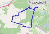 Trasa z dnia 2021-05-30 13:13 - mapa trasy gps - bieganie