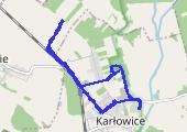 Trasa z dnia 2021-09-30 10:29 - mapa trasy gps - marsz