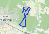 Trasa z dnia 2021-10-03 12:22 - mapa trasy gps - bieganie