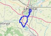 Trasa z dnia 2021-10-03 16:25 - mapa trasy gps - rower górski