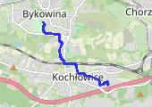 Trasa z dnia 2021-10-20 08:00 - mapa trasy gps - rower górski