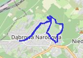 Trasa z dnia 2021-10-31 14:03 - mapa trasy gps - bieganie