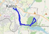 Trasa z dnia 2021-11-01 12:11 - mapa trasy gps - bieganie