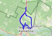 Trasa z dnia 2021-11-12 09:59 - mapa trasy gps - rower szosowy
