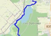 Trasa z dnia 2021-11-21 11:34 - mapa trasy gps - rower górski
