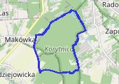 Trasa z dnia 2021-11-28 11:40 - mapa trasy gps - marsz