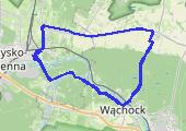 Trasa z dnia 2021-12-13 12:25 - mapa trasy gps - rower szosowy