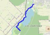 Trasa z dnia 2021-12-12 18:18 - mapa trasy gps - rower górski
