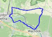 Trasa z dnia 2021-12-15 12:04 - mapa trasy gps - rower szosowy