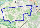 Trasa z dnia 2021-11-28 15:33 - mapa trasy gps - rower górski