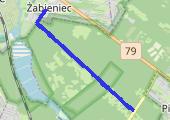 Trasa z dnia 2013-08-19 19:52 - mapa trasy gps - bieganie