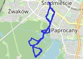 Trasa z dnia 2021-12-26 14:55 - mapa trasy gps - bieganie