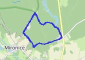 Kłodawa ul. Sosnowa - Zamoksze - mapa trasy gps - marsz
