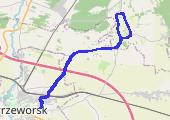 Trasa z dnia 2022-01-19 15:36 - mapa trasy gps - rower górski